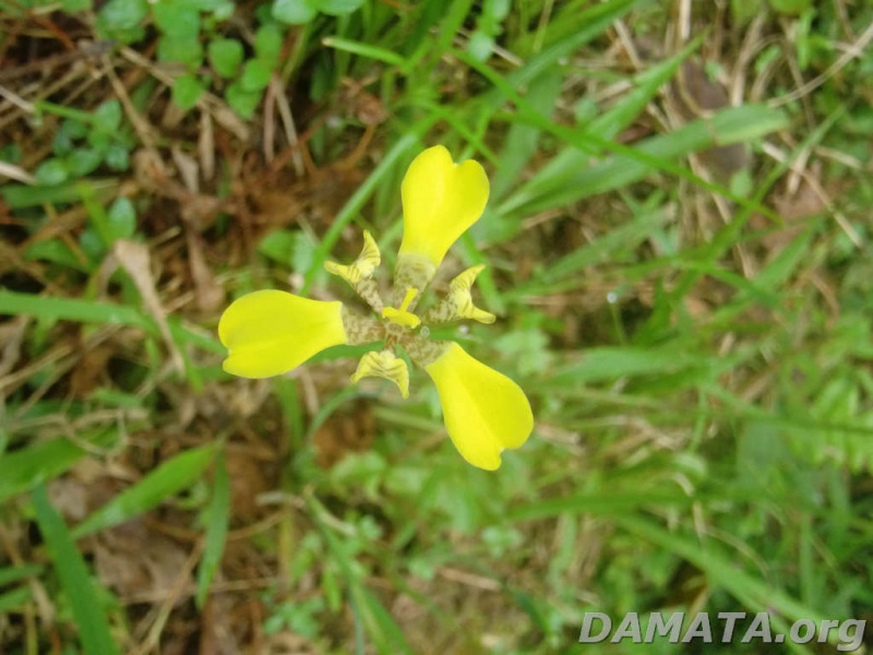 File:InfChave9 (2).jpg